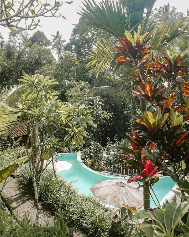 Song Broek Bali Hotel Payangan Exterior foto