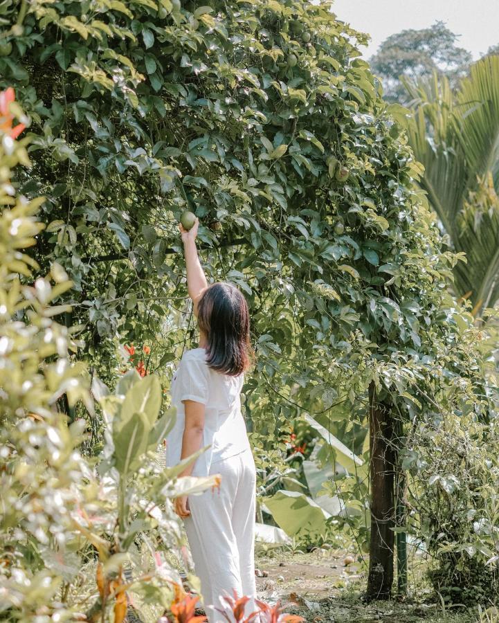 Song Broek Bali Hotel Payangan Exterior foto