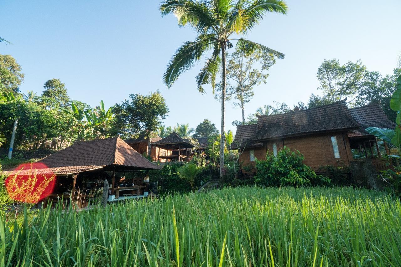 Song Broek Bali Hotel Payangan Exterior foto